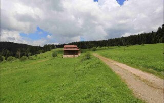 İksir Resort Town Daday Galeri Fotoğrafları